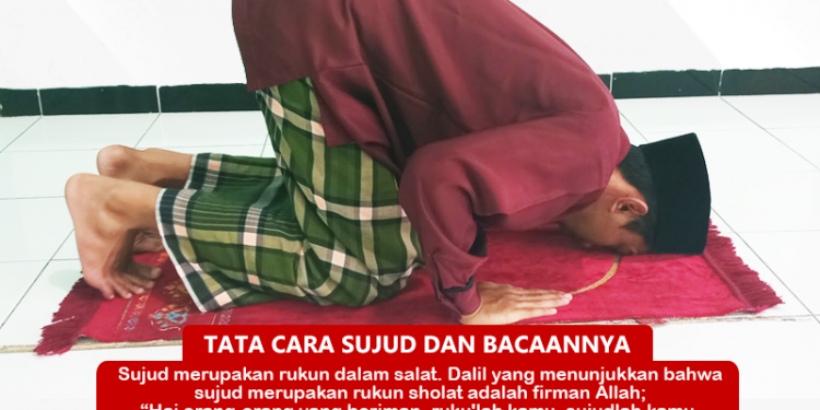 Tata Cara Sujud dan Bacaan Sujud