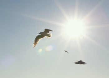 Waktu yang Dilarang Untuk Shalat Cara Sholat