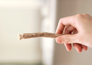 Kisah Menghina Dan Sengaja Bersiwak Untuk Dubur Akhirnya Hamil Mengenaskan