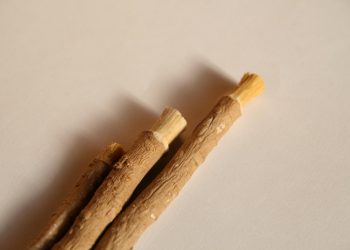 hukum bersiwak saat shalat