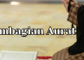 Pembagian Aurat